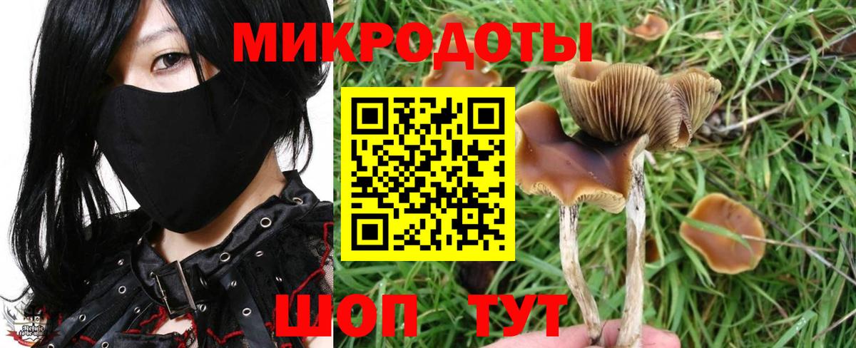 Псилоцибиновые грибы Magic Shrooms Балашов